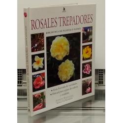 Rosales trepadores. Biblioteca de plantas y de flores - Imagen 1