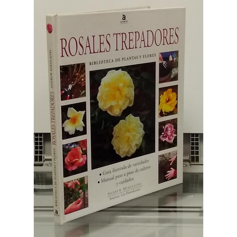 Rosales trepadores. Biblioteca de plantas y de flores - Imagen 1