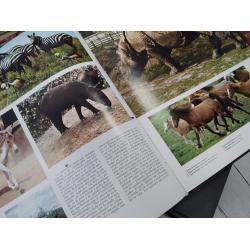 El mundo de los animales 1-9 (los nueve tomos, obra completa)